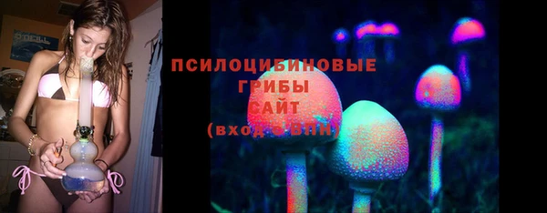 дурь Рославль
