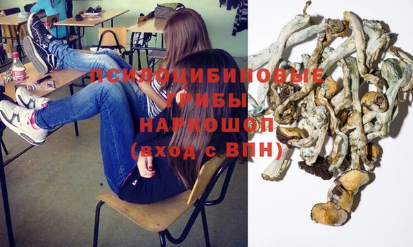прущая мука Абаза